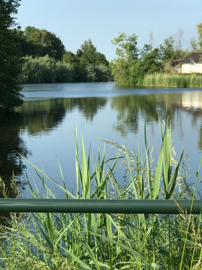 Leuk Vakantiewoning Dijk Woning Met 3 Slaapkamers Dicht Bij De Belgische Grensen Westdorpe Dış mekan fotoğraf